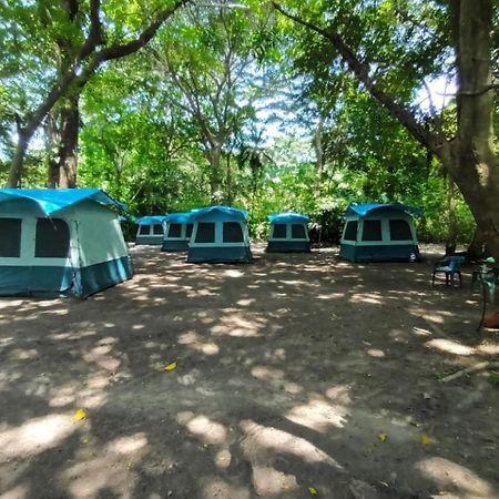 Happy Camping Arrecifes Dentro Del Parque Nacional Natural Tayrona El Coquito Екстер'єр фото
