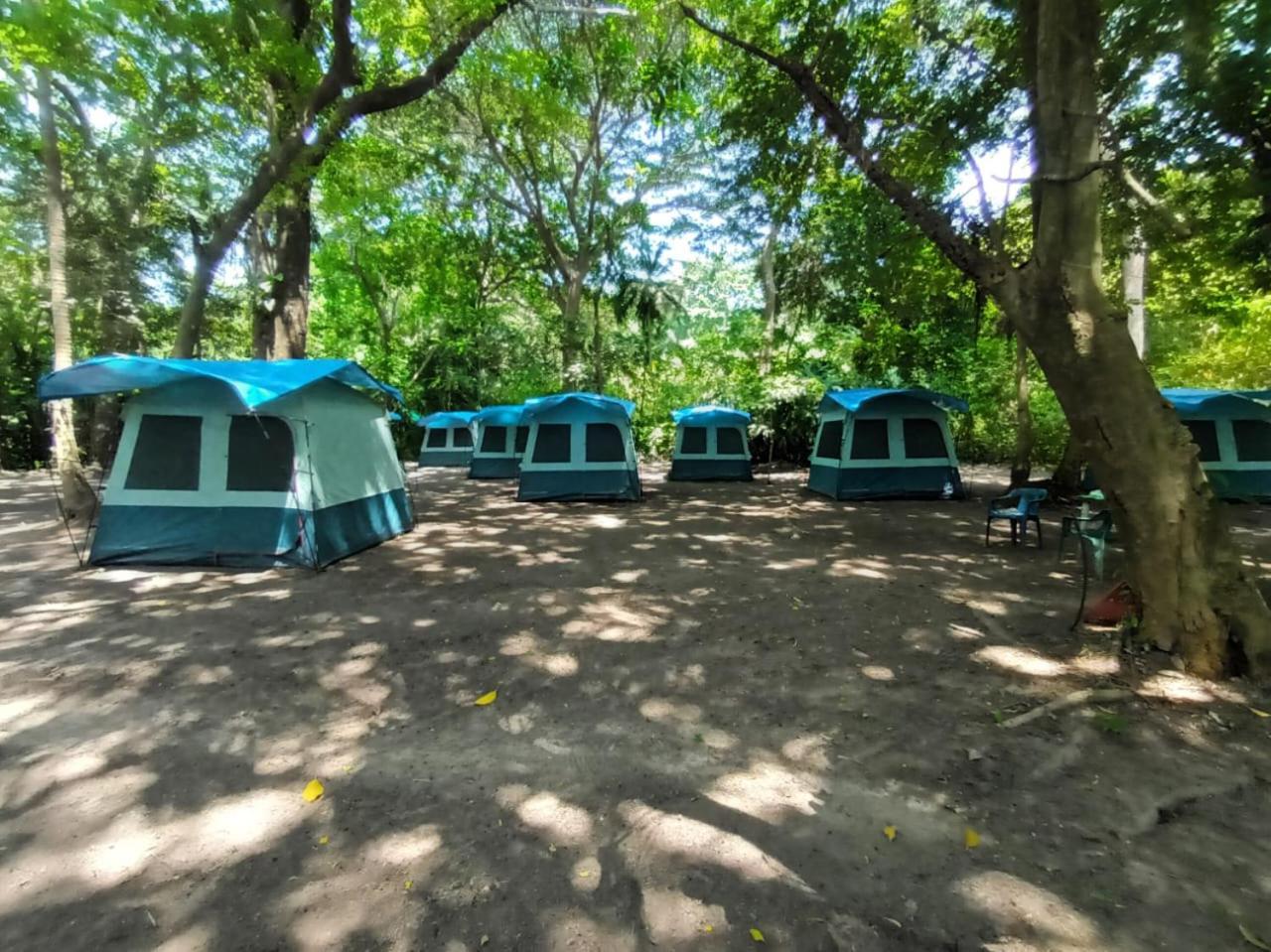 Happy Camping Arrecifes Dentro Del Parque Nacional Natural Tayrona El Coquito Екстер'єр фото