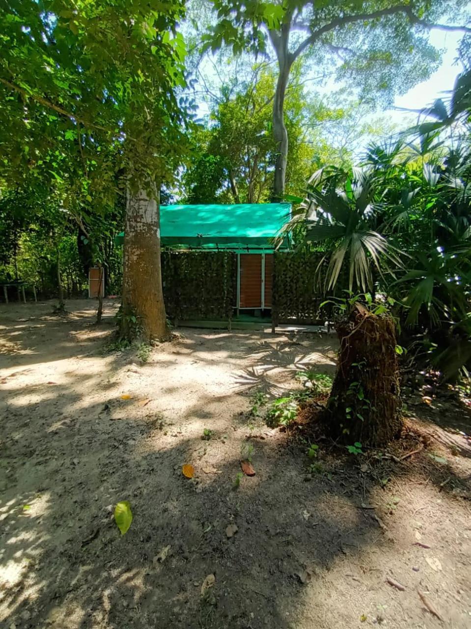 Happy Camping Arrecifes Dentro Del Parque Nacional Natural Tayrona El Coquito Екстер'єр фото